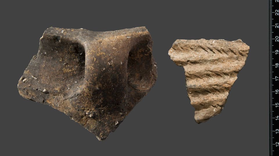 Zwei der bronzezeitliche Scherben nach der Reinigung