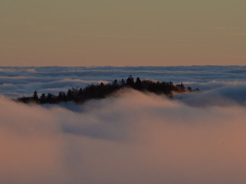 Ein Hügel ragt aus dem Nebelmeer.