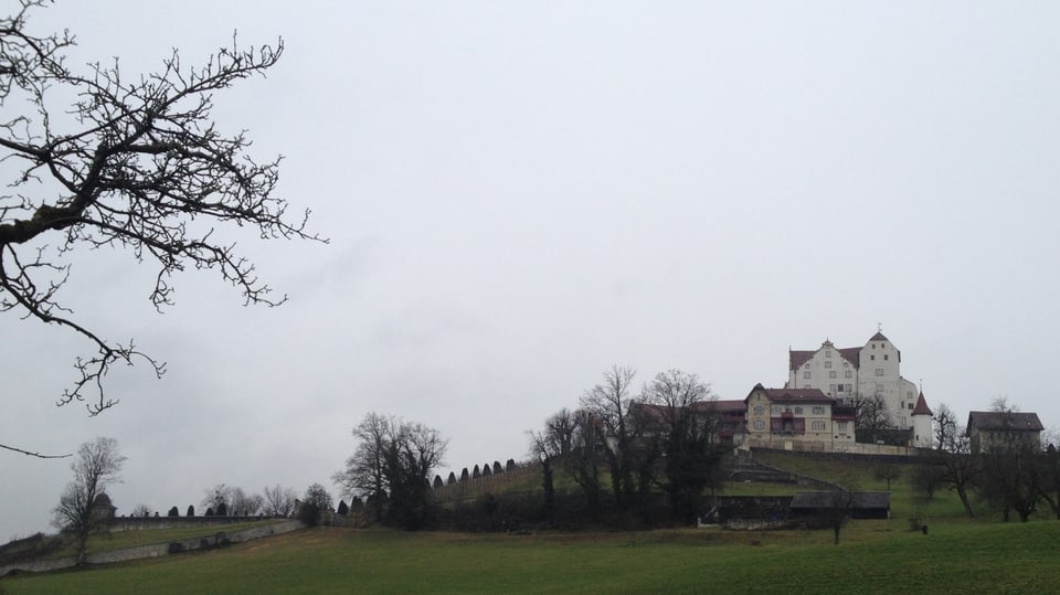 Totalansicht von Schloss Wildegg.