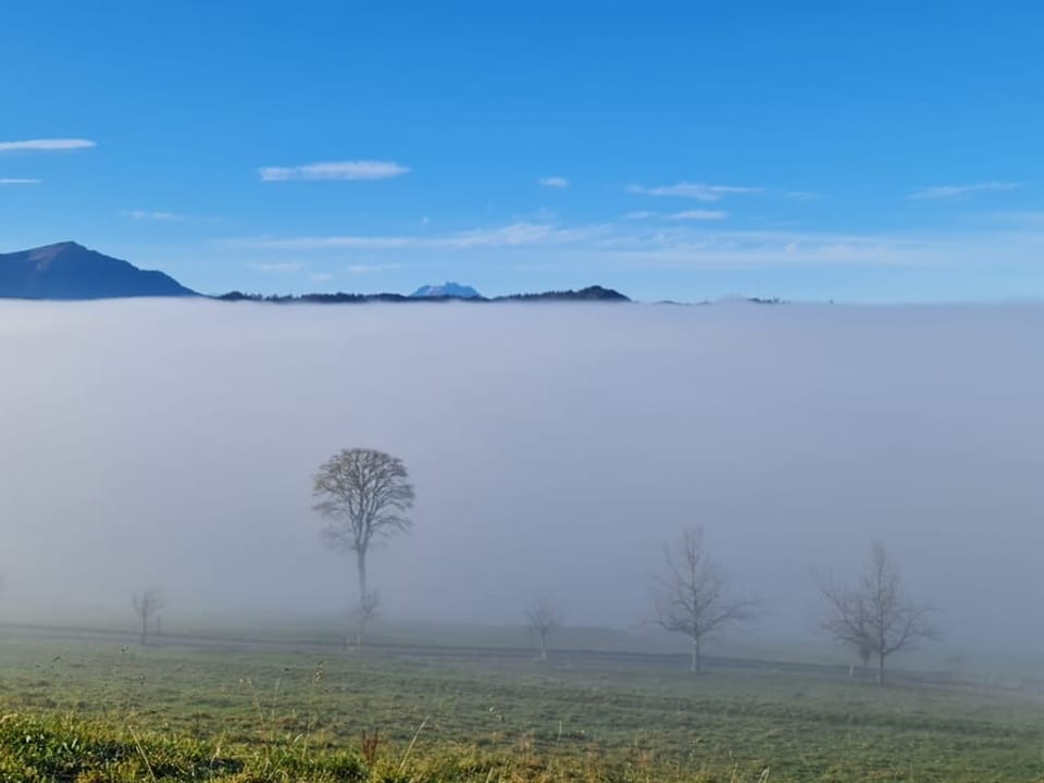 Blick auf die Nebelgrenze