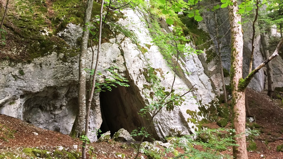 Höhle im Berner Jura. Wurde von Mennoniten als Kirche verwendet.