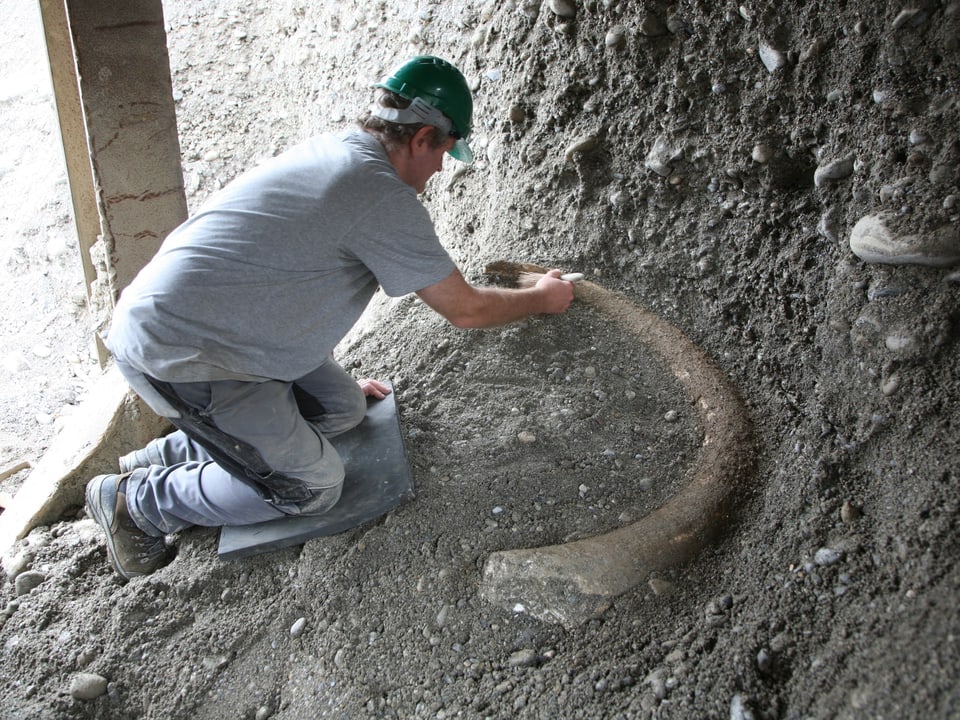 Ein Mammut-Stosszahn wird in einer Kiesgrube im luzernischen Ballwil freigelegt.