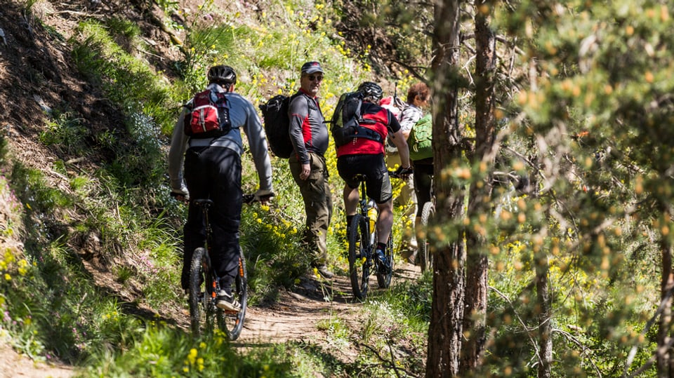 Zwei Wanderer weichen auf einem schmalen Pfad aus, um zwei Mountainbiker vorbeizulassen. 