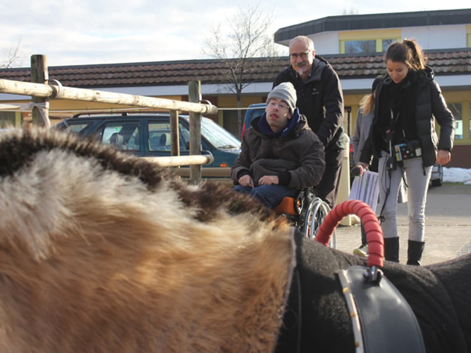 Betreuer führen einen Bewohner im Rollstuhl zum Pferd.