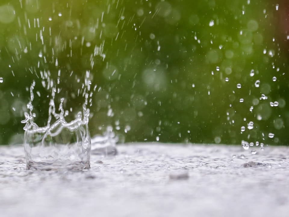 Regentropfen prasseln auf eine Wasseroberfläche und sorgen für zylindrische nach oben wegspritzendes Wasser.