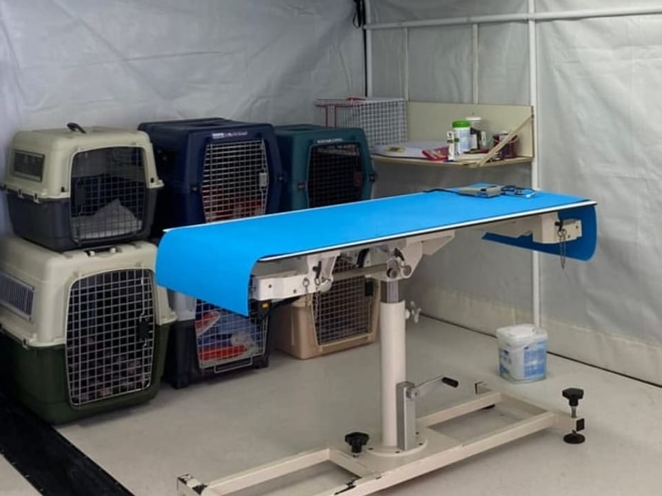 Tier-OP-Tisch inmitten eines improvisierten Tierklinik-Containers.