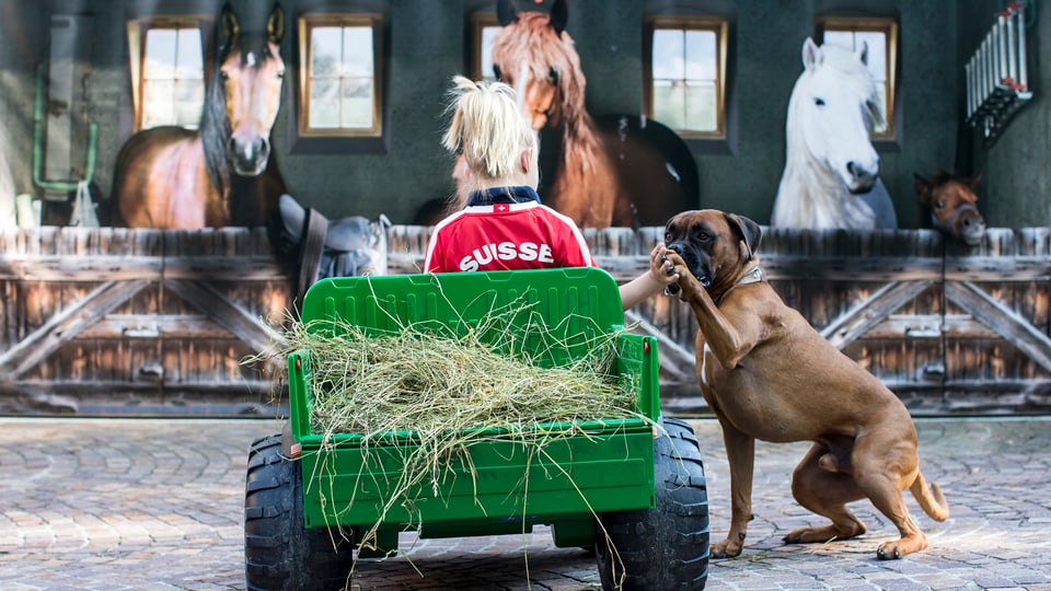 Mädchen gibt Hund die Hand, steht vor drei Pferden in einem Plastiktraktor sitzend