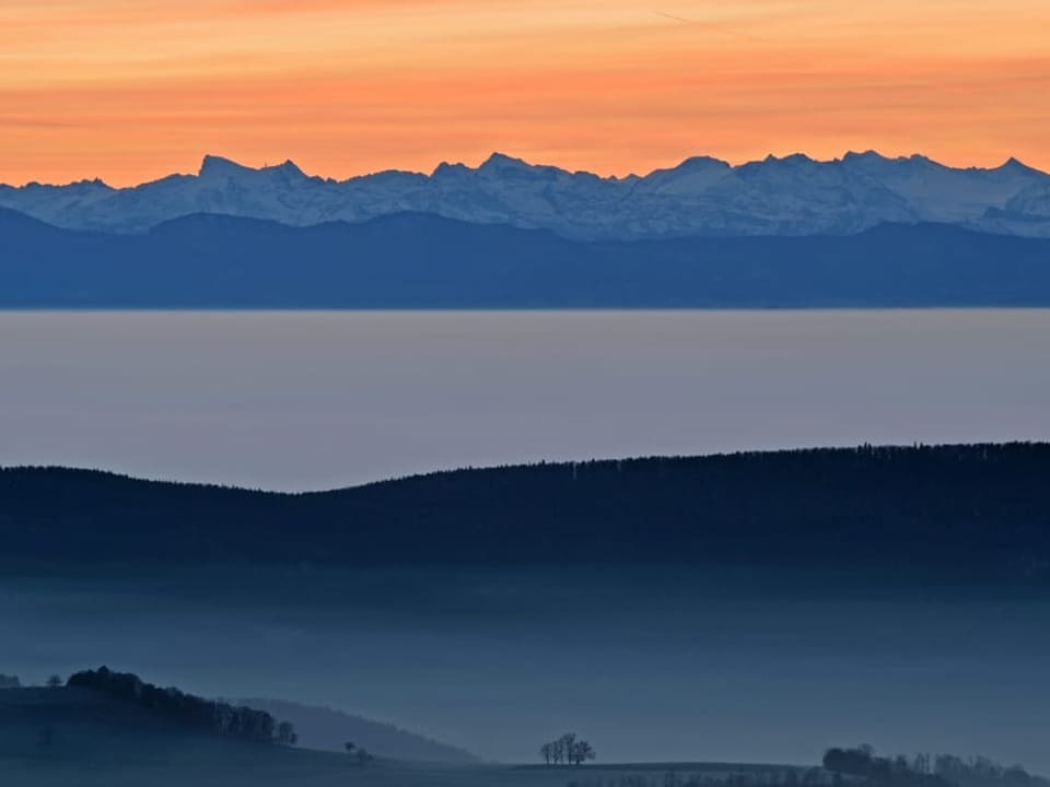 Nebelobergrenze wie mit dem Lineal gezogen über dem Mittelland. Darüber Alpen und Morgenrot. 