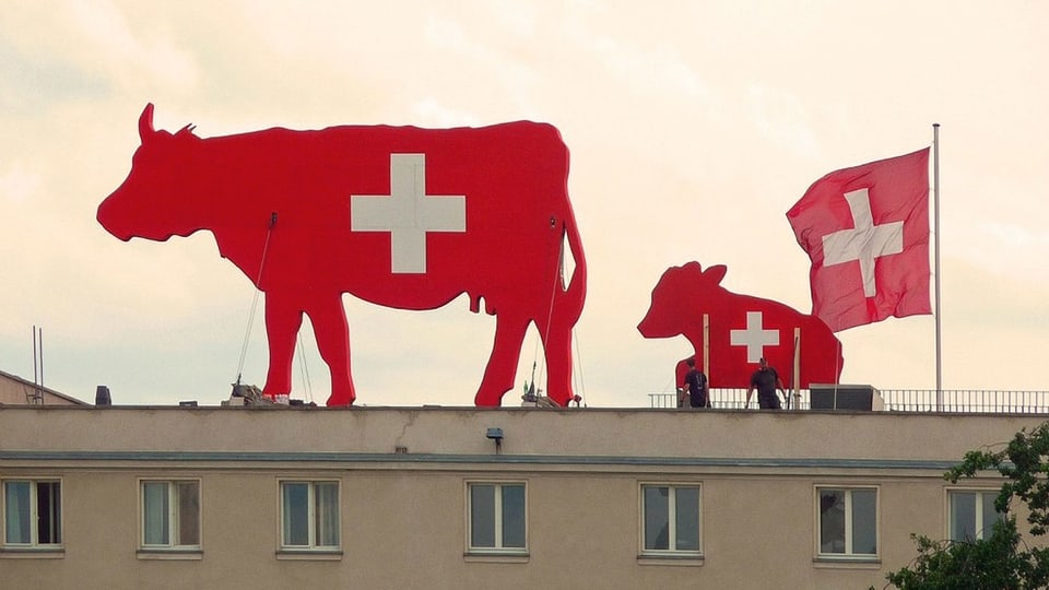Kühe mit aufgemaltenm Schweizerkreuz auf der Schweizer Botschaft in Berlin.