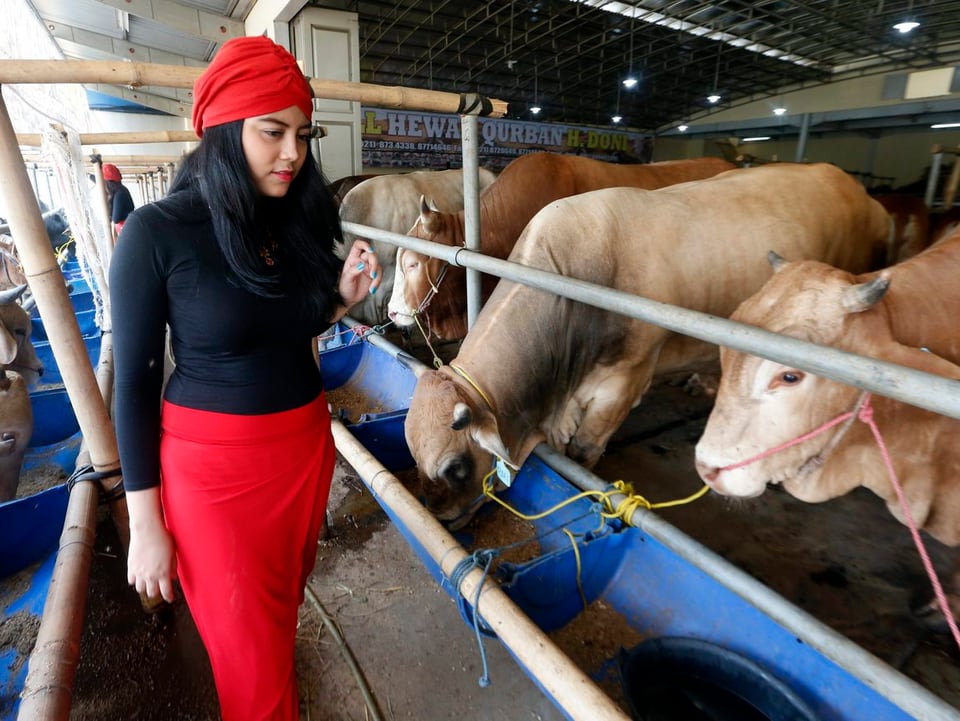 Frau verkauft Kühe