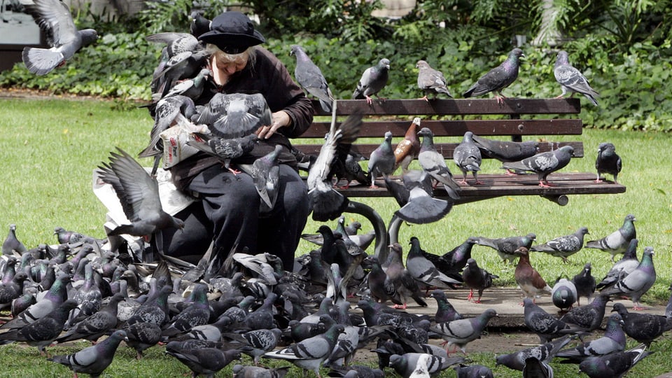Eine Frau sitzt auf einer Bank, um sie flattern Tauben.