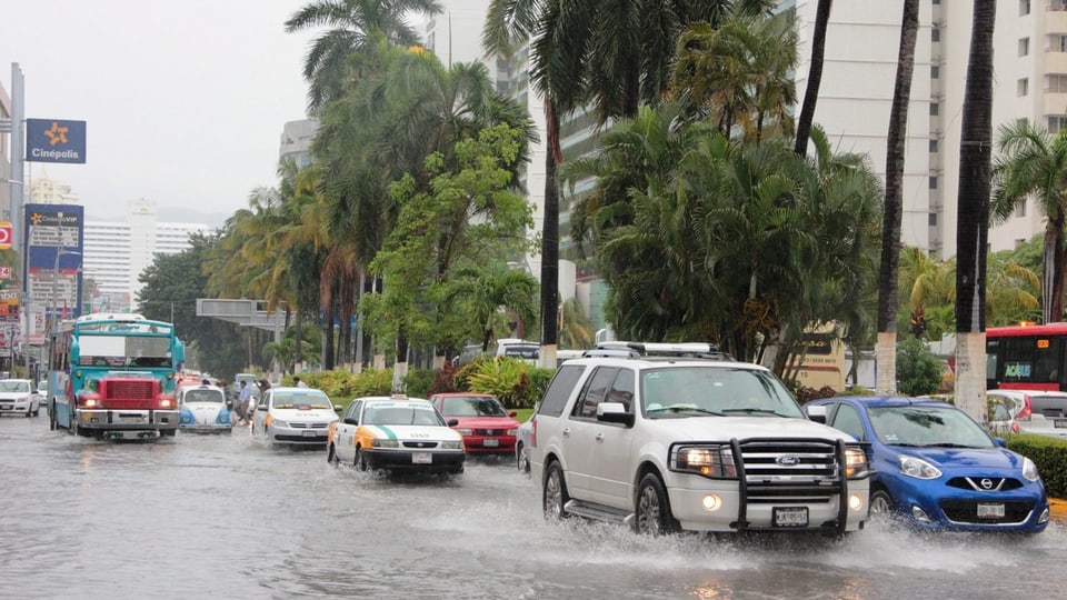 Autos auf einer überschwemmten Hauptstrasse in Acapulco, am rechten Strassenrand windgepeitschte Bäume