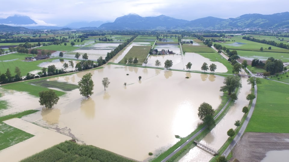 Überflutete Felder in Balgach