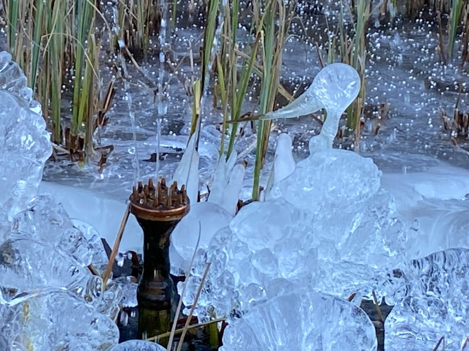 Vogel aus Eis in gefrorenem Biotop