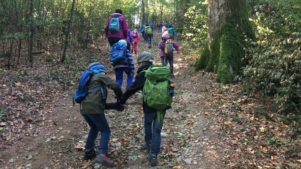 Schulkinder auf einem Waldweg.