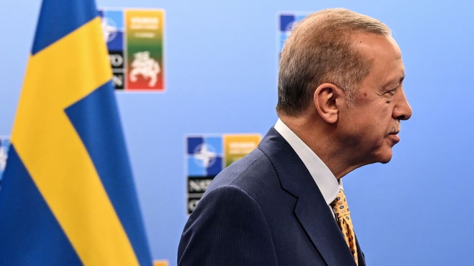 Der türkische Präsident Erdogan in Vilnius