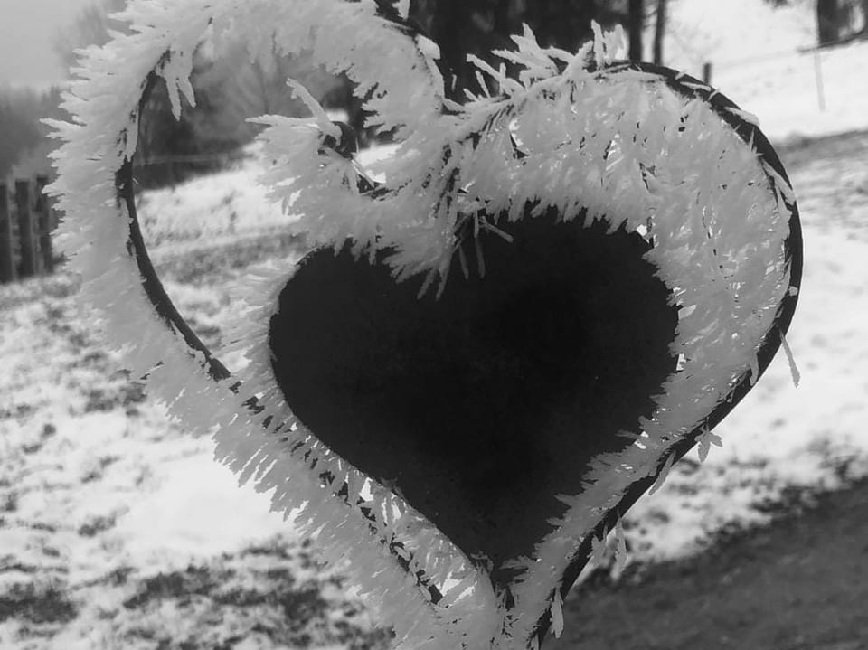 Ein Herz mit Eiskristallen.