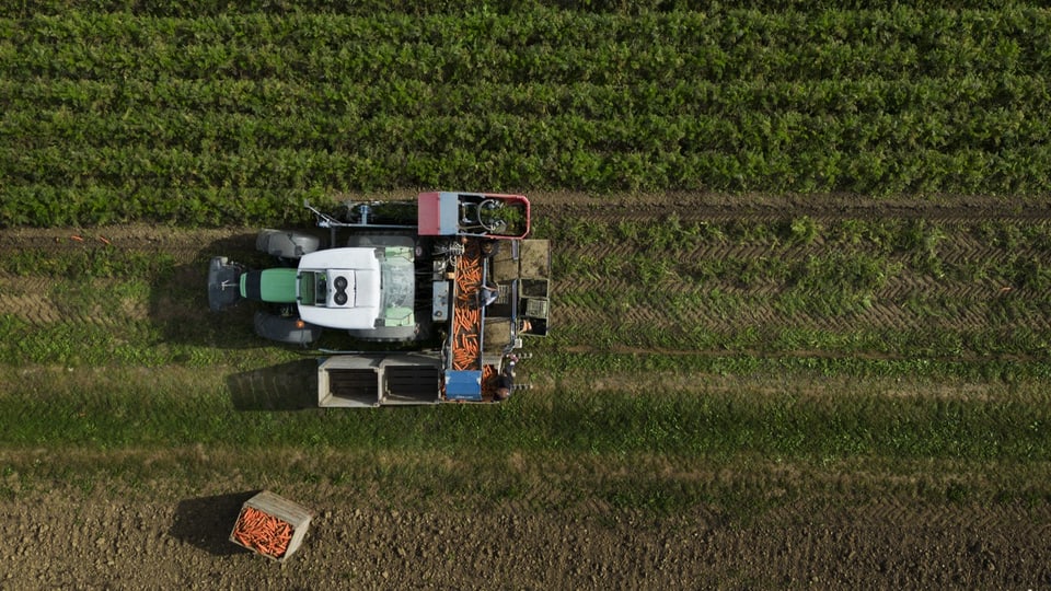 Ein Traktor auf einem Feld, von oben. 