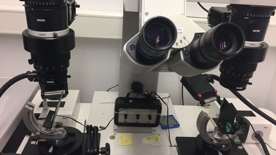 Im Labor, Mikroskop