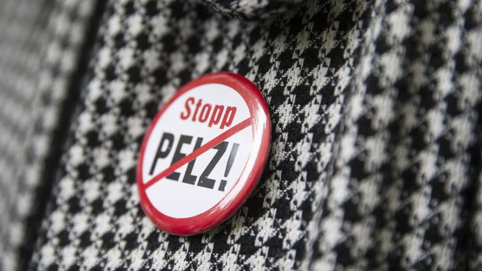Ein Button mit der Aufschrift «Stopp Pelz» hängt an einem Mantel