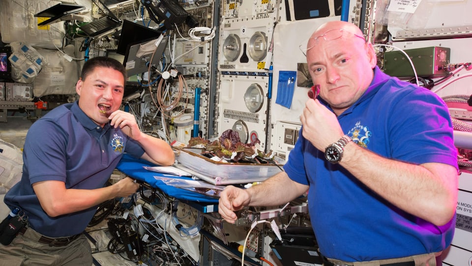 zwei Männer in einer Raumstation essen frischen Salat