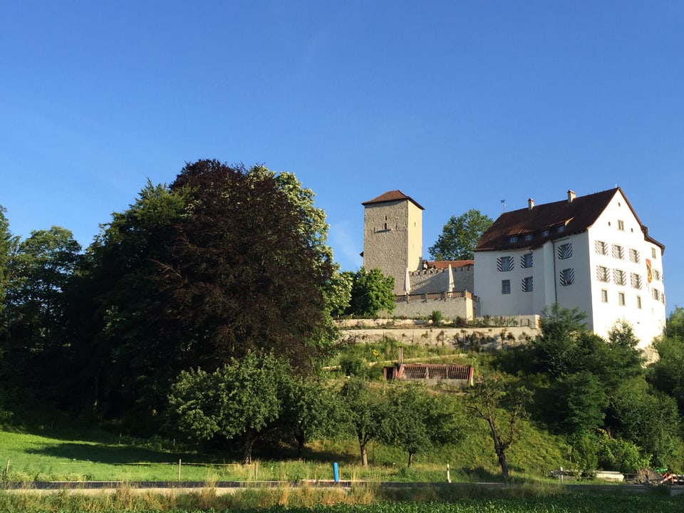 Schloss Wildenstein im Sommer