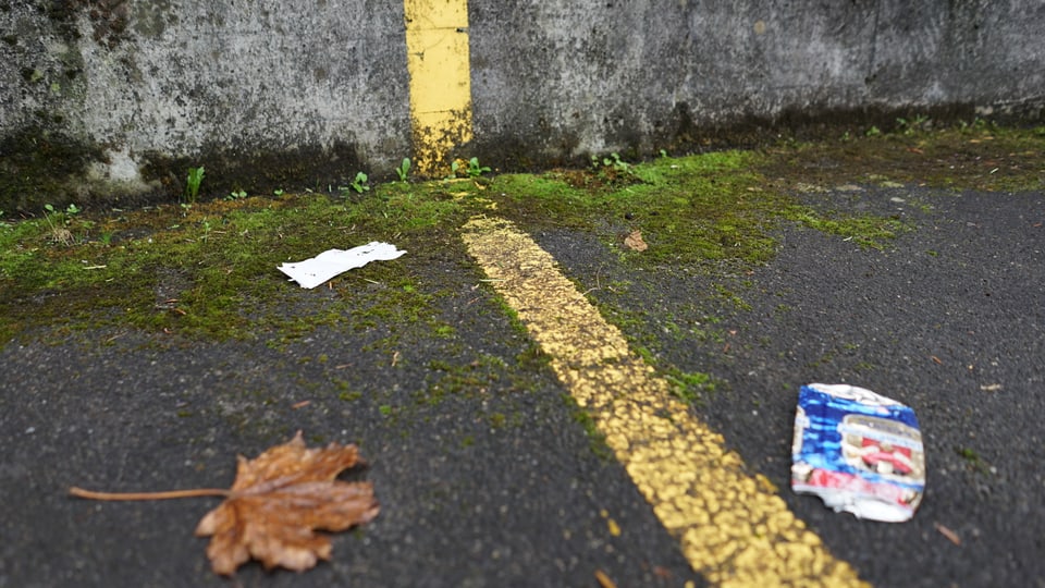 Eine zerdrückte Bierdose rechts im Bild, in der Mitte ein gelber Streifen der Parkplatz-Markierung. Darüber Moos und ein braunes Blatt.