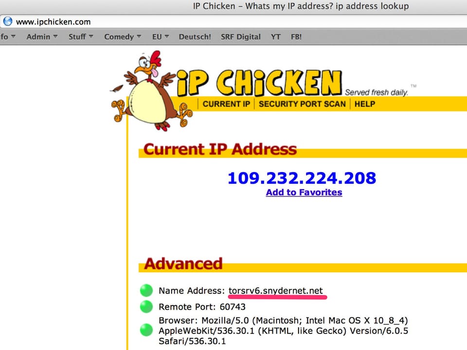 Die Ausgabe von IP Chicken.