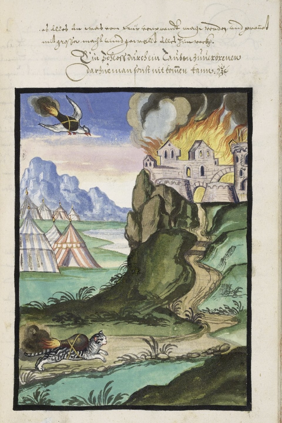 Brennede Katze und brennende Taube eilen zu brennender Burg