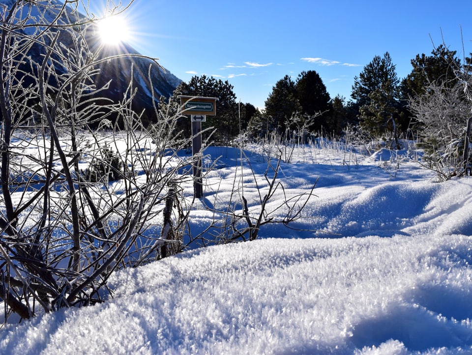 Im Vordergrund auf einer Schneefläche wunderschöne Schneekristalle in denen sich das Sonnenlicht spiegelt.