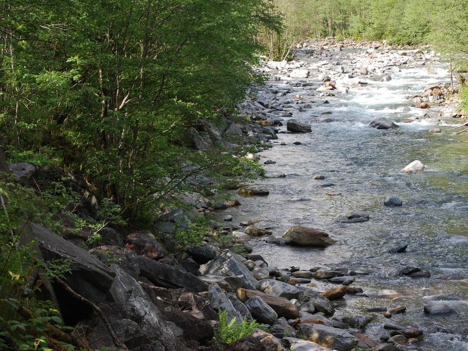Flussbett der Calancasca. 
