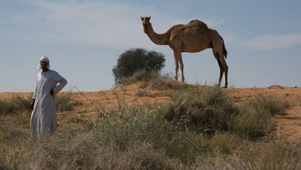 Hirte mit Kamel steht in der Wüste