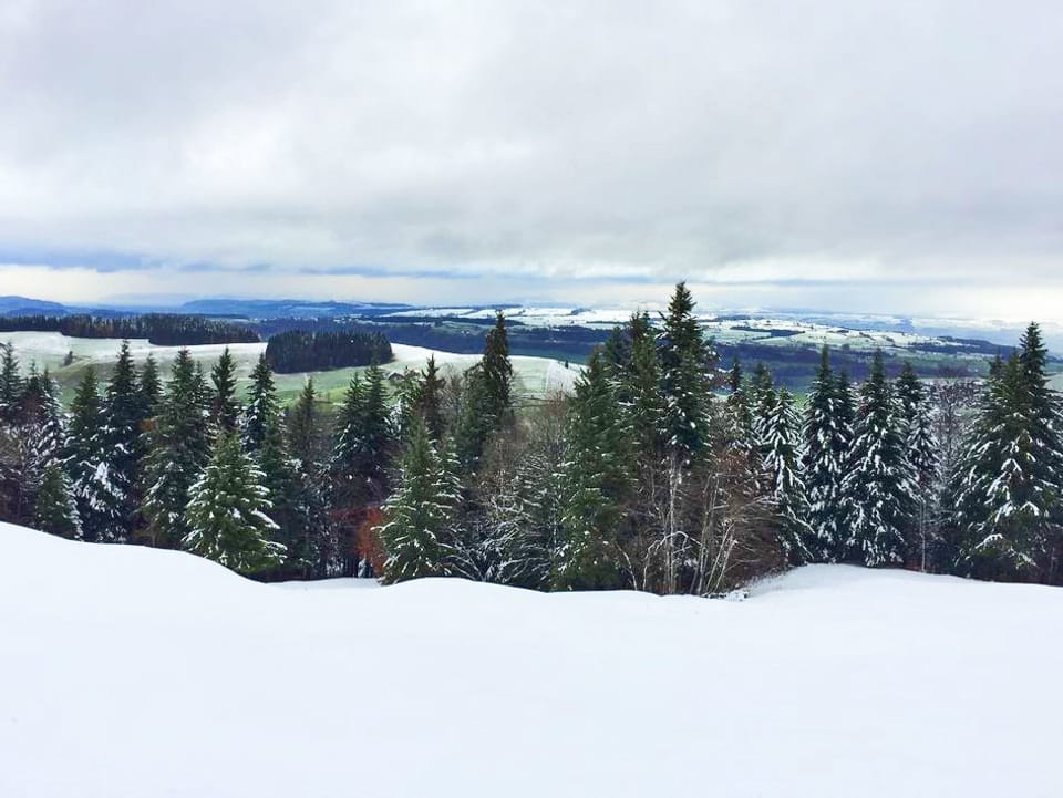 Schneelandschaft im Luzernischen.