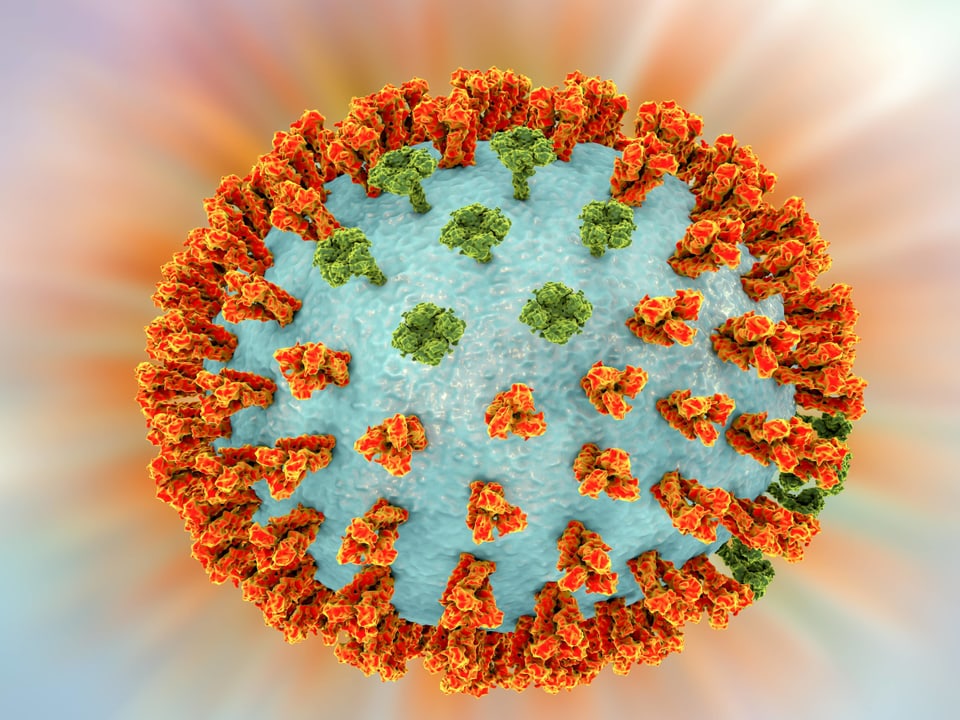 Grossaufnahme des H3N2-Virus