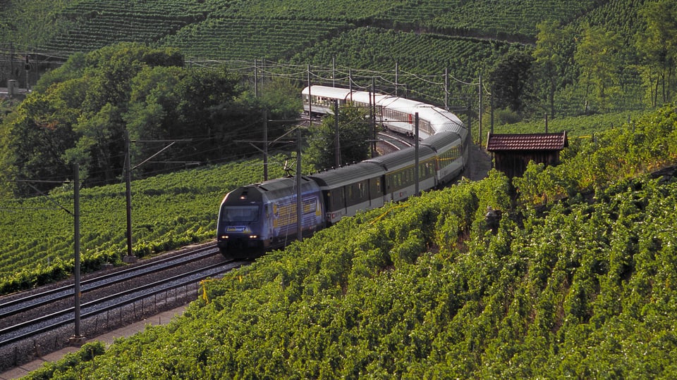 Ein Zug fährt durch die Lavaux.