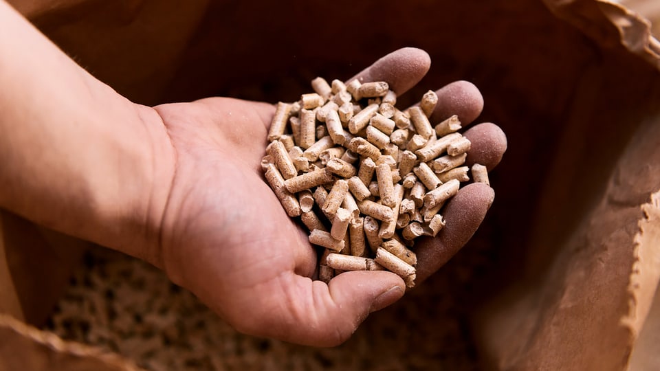 Eine Hand voller Holzpellets