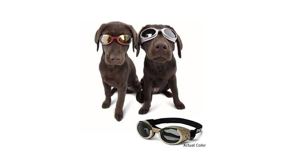 Schutzbrillen für Hunde: