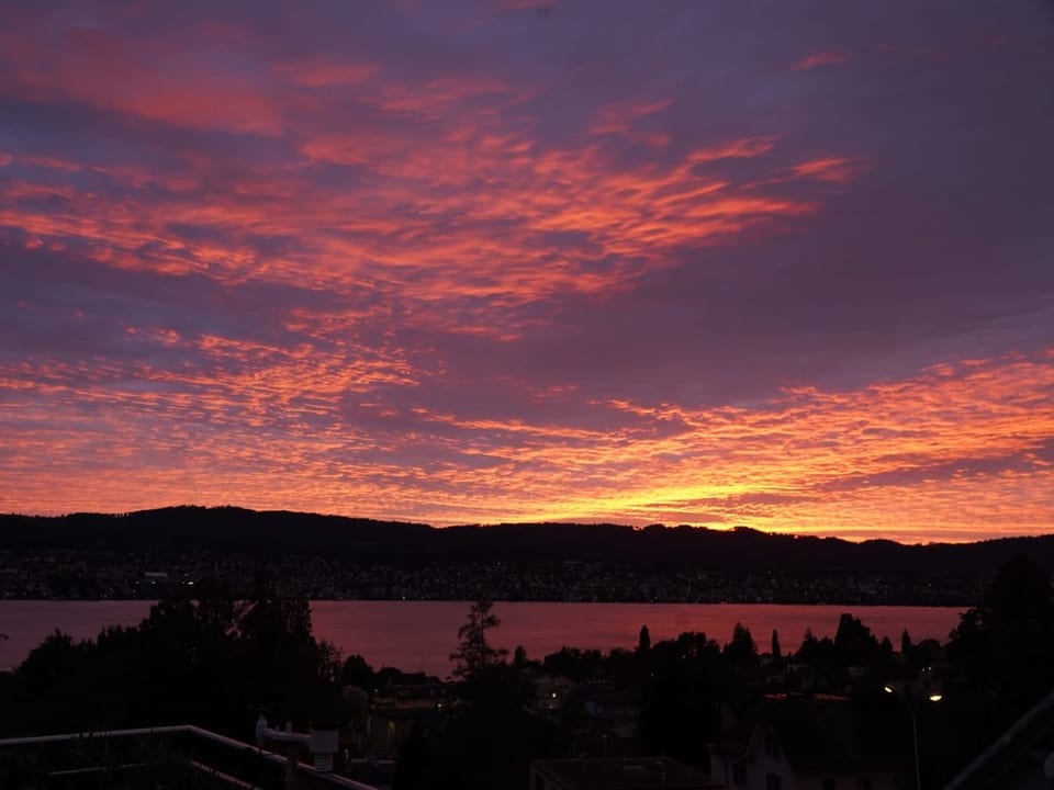 Erlenbach ZH Abendstimmung.