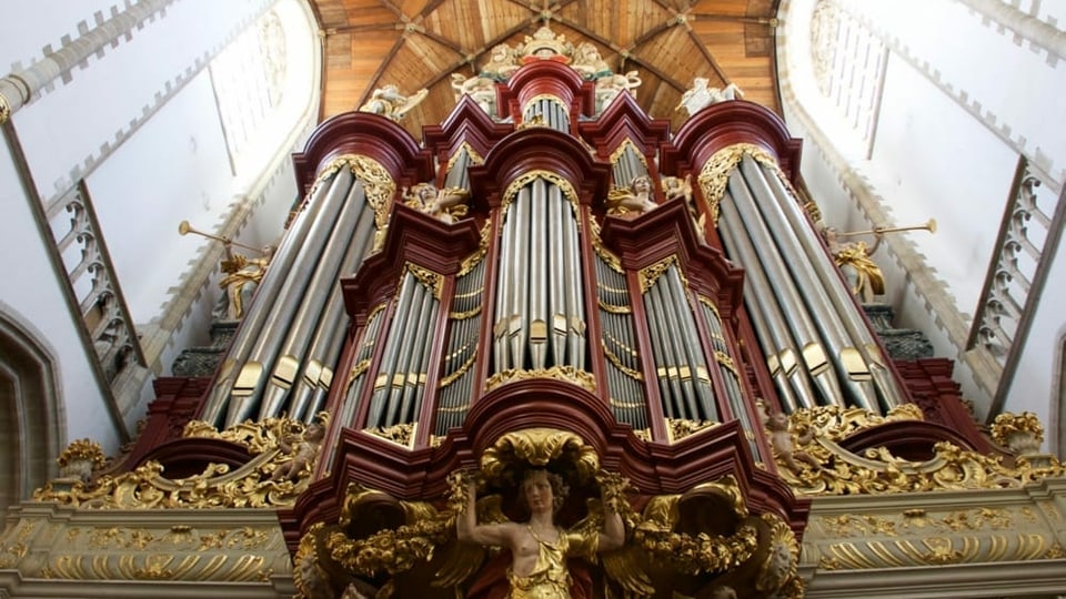 Weltberühmte Orgel - Diese Wunder-Orgel ist von Fledermäusen bedroht -  Kultur - SRF