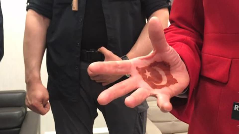 Türkische Flagge mit Henne aufgemalt auf Handinnenfläche.
