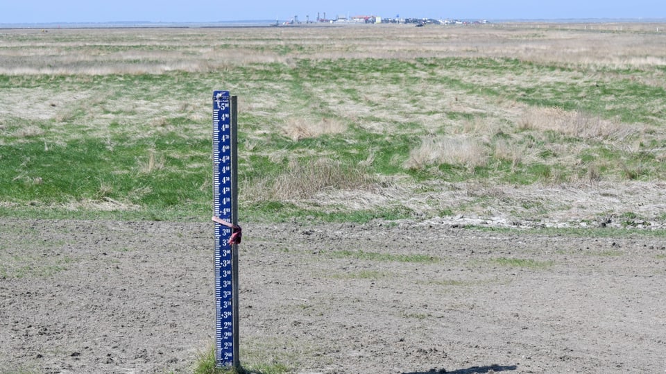 Water level indicator. 