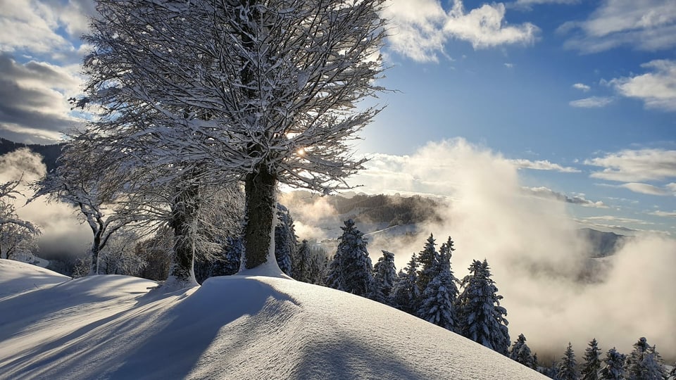 9. Dezember Schneelandschaft im Emmental.