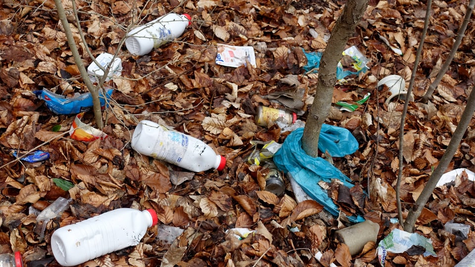 Plastikmüll im Wald