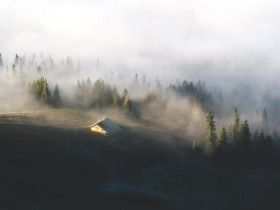 Nebelfelder in einem bewaldeten Gebiet von oben aufgenommen.