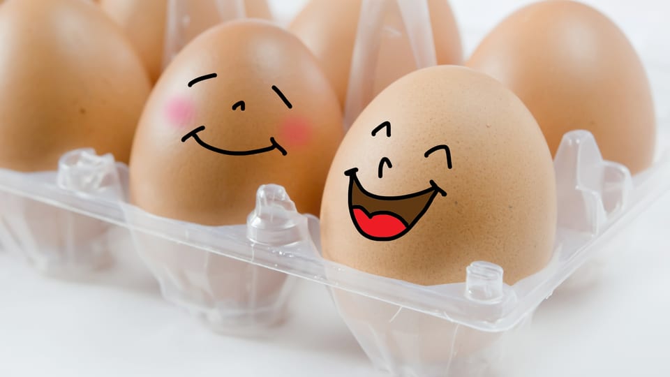 Eine Schachtel mit Eiern, zwei davon mit Gesichtern bemalt.