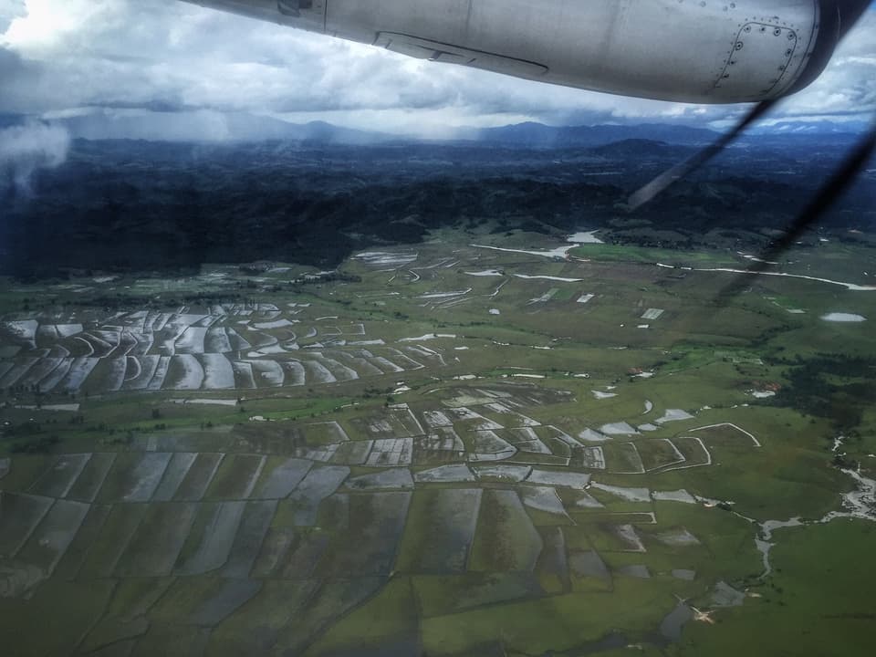 Bild aus dem Flugzeug, unten grosse Reisfelder, der Himmel ist bewölkt.