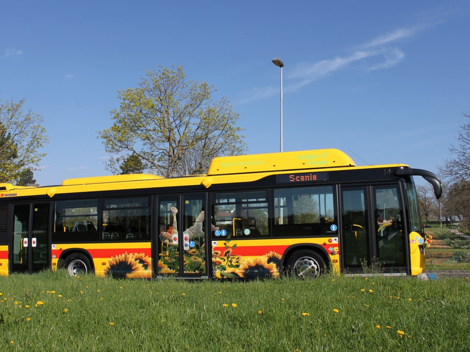 Ein gelber BLT Erdgasbus