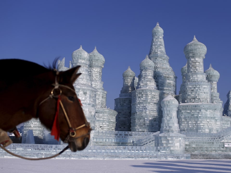 Pferd vor Eisskulptur in Form des Kremls