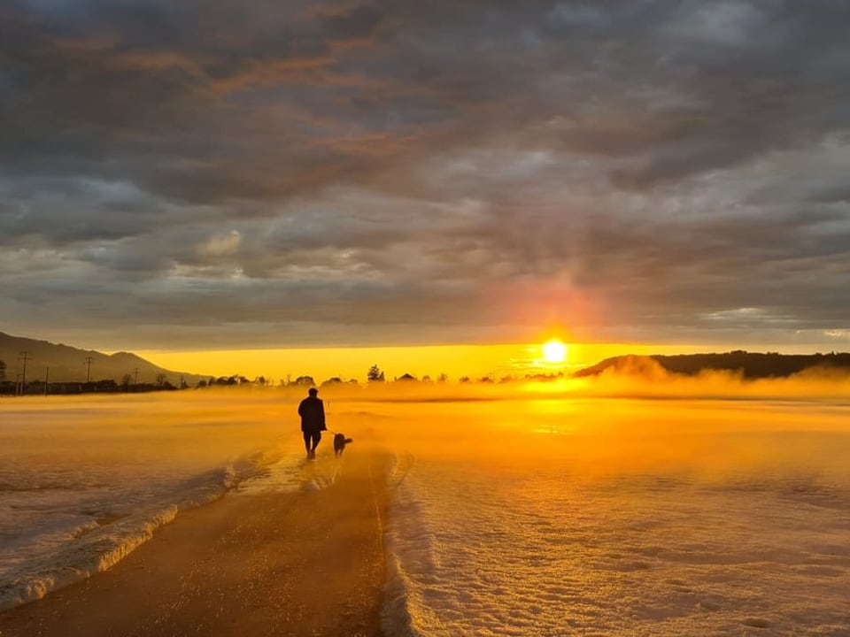 Gelber bis oranger Sonnenuntergang über weisser Landschaft mit Hagel. 