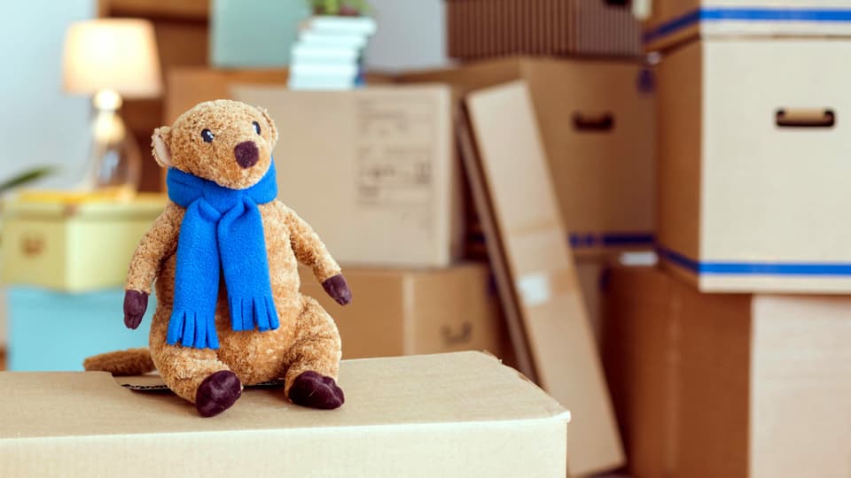 Wenn Kinder ausziehen Die grosse Angst der Eltern vor dem leeren Nest Kultur SRF